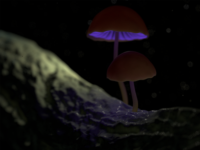 Shrooms c4d lighting sculpt