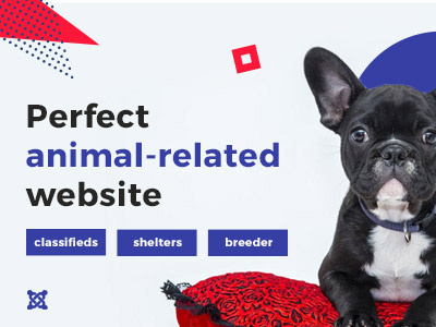 3 types of animal websites animals breeders classifids design dog shelters web website