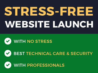 Launch Your website under best technical care