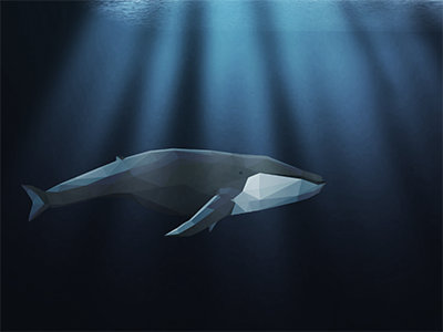 Geometric whale blue deep illustrator ocean vector whale