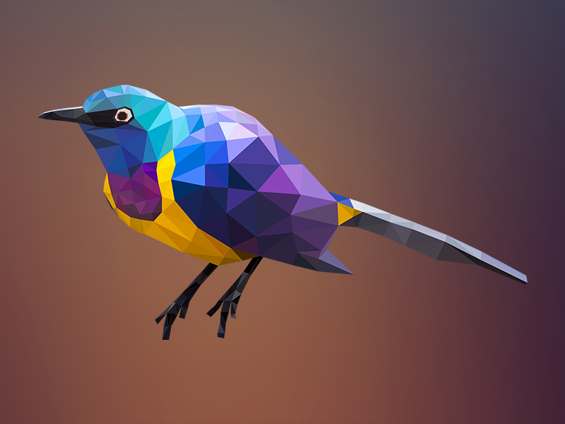 geometric bird drawing