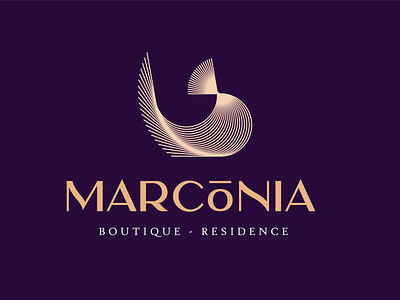 Marconia Logo and Branding