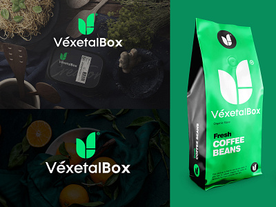 Logo Design and Branding for Vexetal Box branding design design agency ecommerce app flat graphic graphic design icon identity identity design illustration logo logo a day mockup packaging packaging mockups packagingdesign symbol symbol design symbol icon