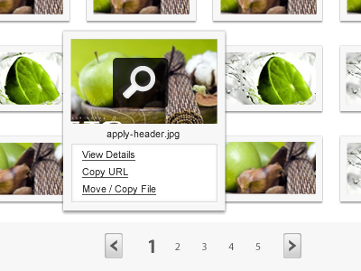 File Manager back file image next pagination preview ui
