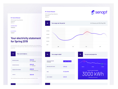 Senapt - electricity bill design design document documents print design