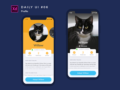 Daily UI challenge #006 adobe xd app dailyui design profile ui uidesign