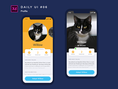 Daily UI challenge #006