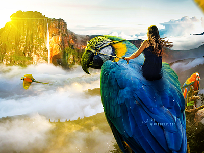 Amazonas - salto angel adobe art artist artwork creative design designinspiration digitaldesign dribbble graphicdesign guacamaya ilustrations