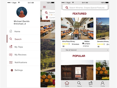 Wine Country iOS app app design ui ux