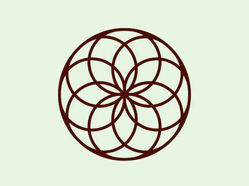 Flower of Life by Michael Schwartz on Dribbble