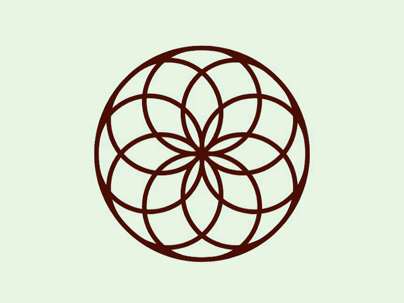 Flower of Life animation animation 2d design flat flatdesign loop animation looping animation motion graphics motiongraphics vector