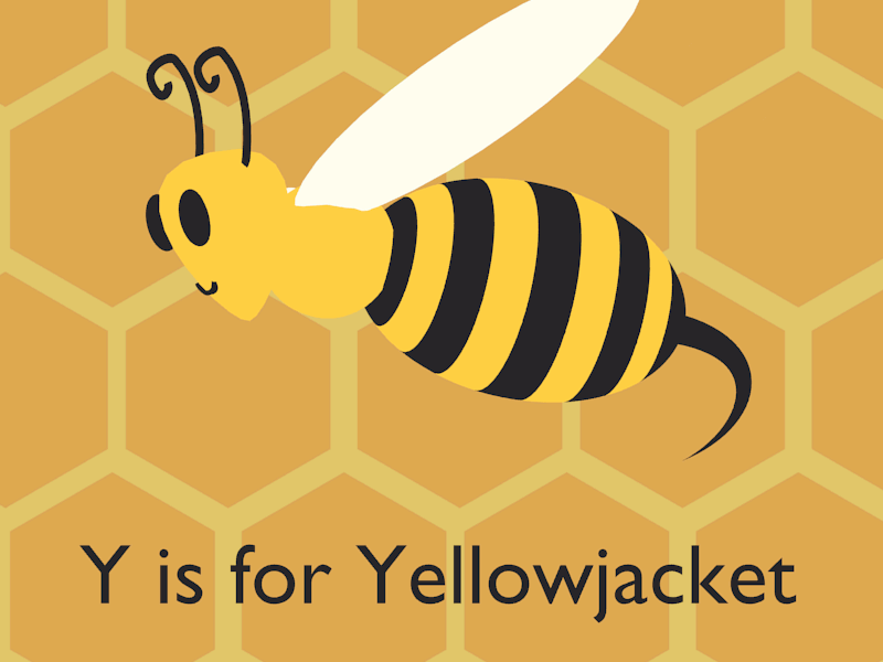 Y is for Yellowjacket 3d 3d animation animation animation 2d blender blender3d design flat flatdesign loop animation looping animation motion graphics motiongraphics vector