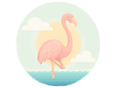 Flamingo