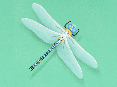 Dragonfly