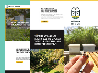 Hānai Hives Website & Branding apiary beachy bees branding logo website