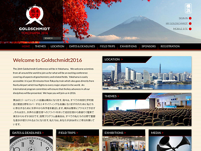 Japanese inspired website design