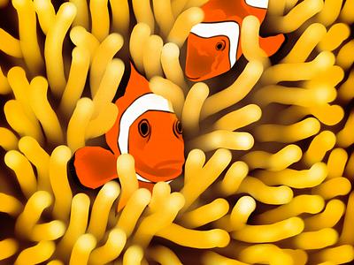 Clownfish Designs Themes Templates And Downloadable Graphic Elements On Dribbble