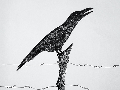 The Crow crow ink pen sketch