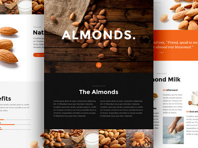 Almonds for Divi almonds article elegantthemes layout post web website wordpress