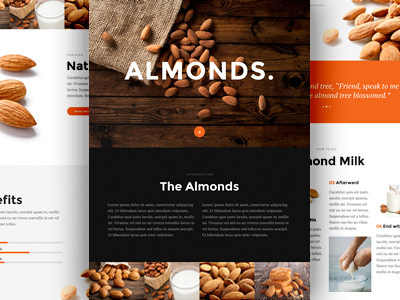 Almonds for Divi 