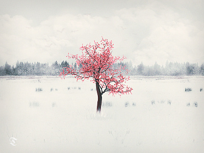 Lonely Blossom Tree blossom dense empty forest pink snow tree winter