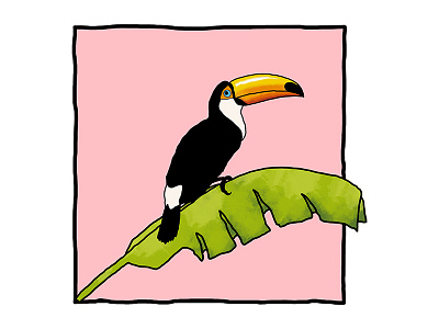 Toucan bananaleaf pastelcolors pink toucan tropic