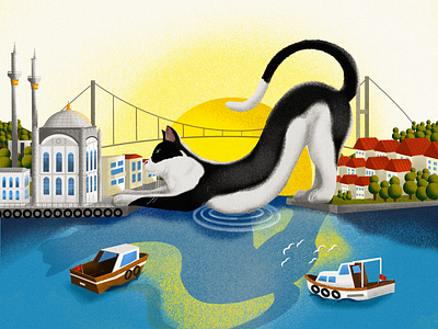 Cats of İstanbul animals cat childrenbooks city illustration i̇stanbul