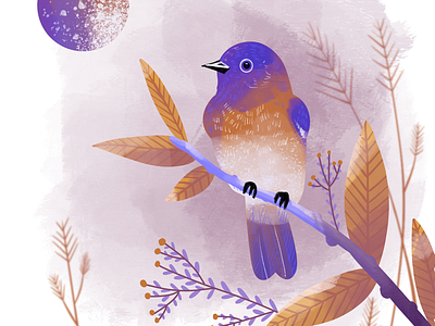 Night touch art artwork bird design illustration ipad print procreate