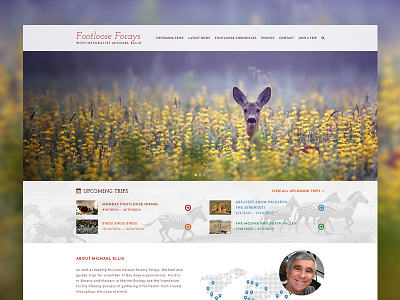 Footloose Forays nature design travel site web design