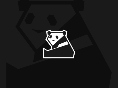 DAY 3, PANDA. dailylogochallenge geometric icon design monoline panda