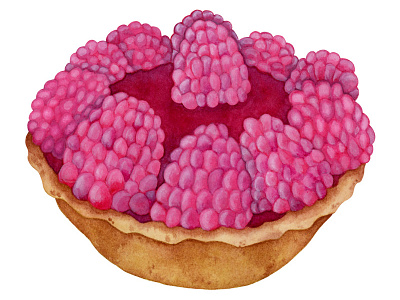 Raspberry Tart food illustration