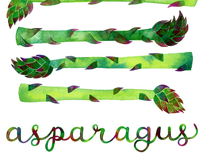 Funky Asparagus Spears food illustration