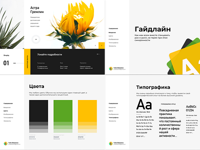 Flower Website & UI kit - Web Design