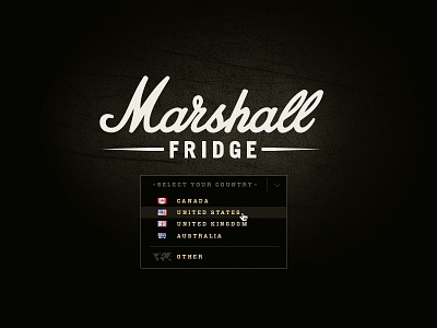 Marshall Fridge Website - Country Dropdown advertising art direction marshall fridge product product site web design
