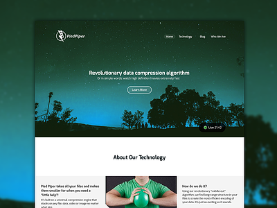 Pied Piper Website Redesign (concept) 