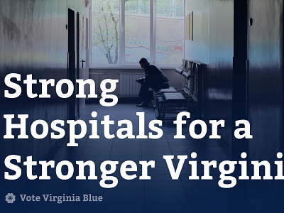 Vote Virginia Blue - Wilder Campaign