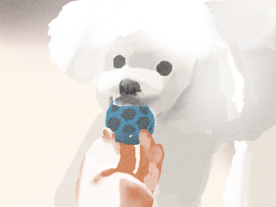 Throw human blue color dog grey illustration poodle texture white