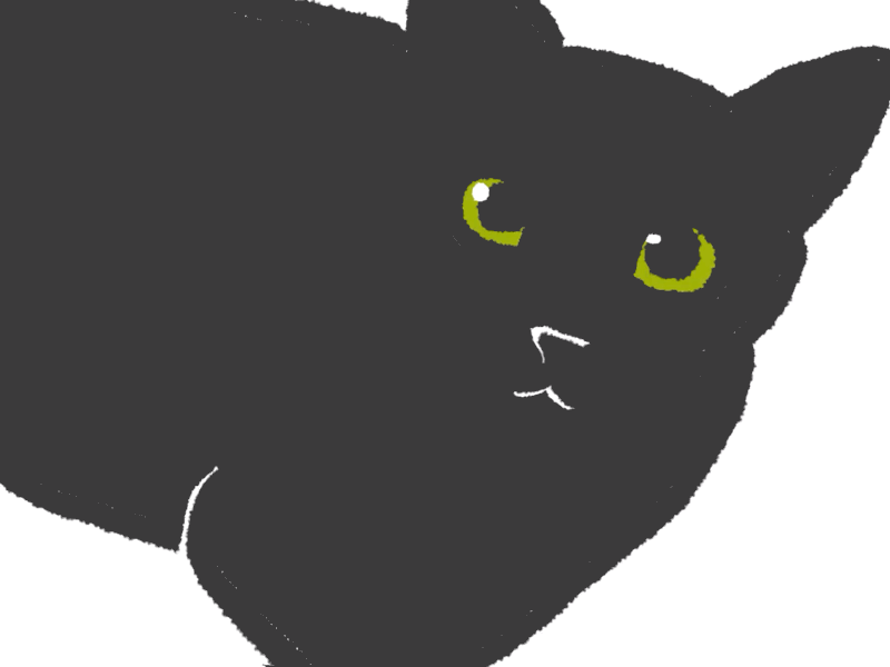 Meow animation black color drawing gif green grey illustration rough simple