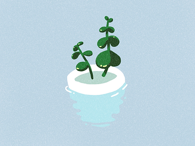 floating plant