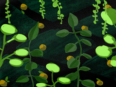 Dark Green black color colour drawing fruit green illustration pattern plant