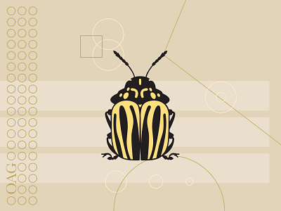 Self-Promo Beetle beetle illustration vector art vector illustration