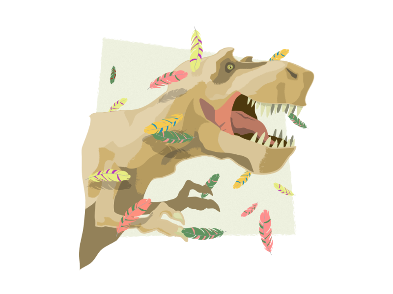 Dinosaur Feathers illustration feathers tyrannosaurus dinosaur