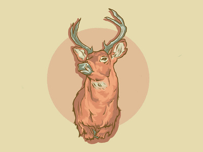 Deer Head deer illustration procreate
