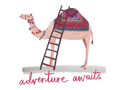 Adventure Awaits adventure animals camel colourful hand painted illustration travel