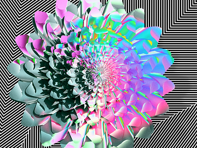 Spring flower — An artwork collage of 3D + computational art 3d c4d colors computational art design drawbot flower python