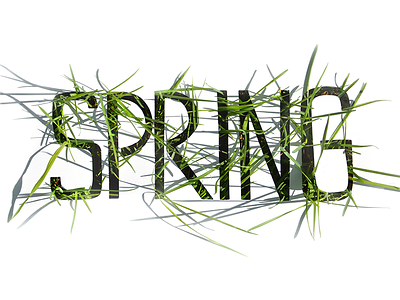 Everyday Typography 7 experimental grass green spring typography