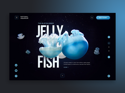 National Aquarium Web-site concept aquarium blue concept design jelly fish jellyfish ocean sea site ui water web