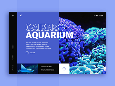 Cairns Aquarium Web-site concept aquarium australia blue cairns concept design ocean sea site ui violet water web xd