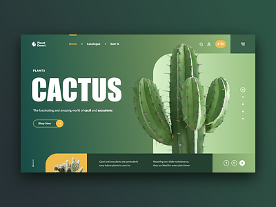Cacti & Succulents Store Web site Concept