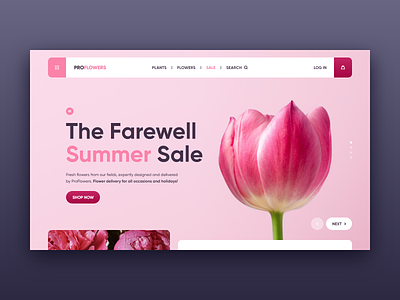 ProFlower web site concept clean concept design flower pink pion plant plants purple site tulip tulips ui violet web xd